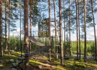 هتل درختی سوئد با معماری منحصر به فرد